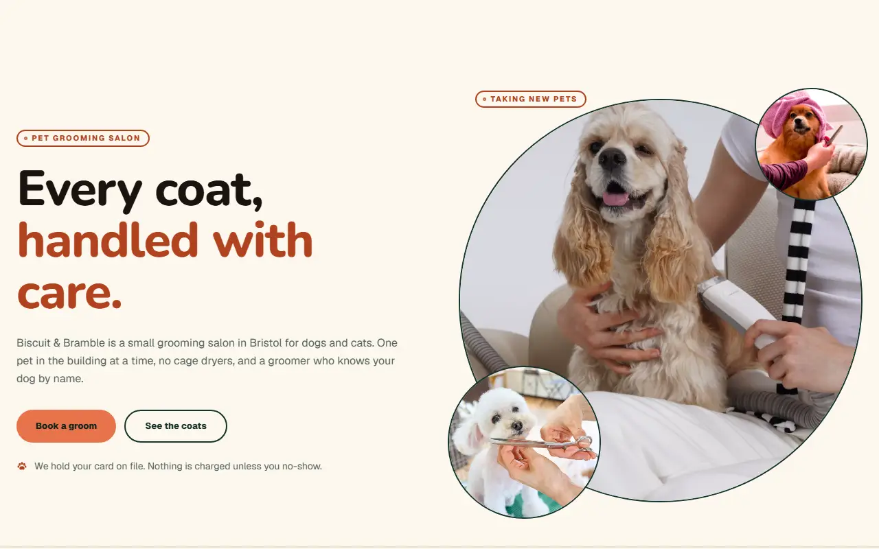 Pet grooming salon, template preview